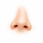 Rhinoplastie Nez dévié